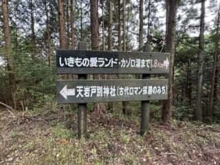 天岩戸別神社