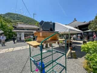 四国八十八ヶ所霊場 第73番札所 出釈迦寺