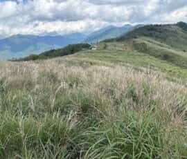白髪山