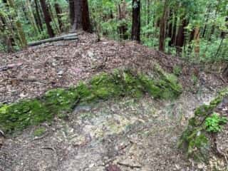 四国八十八ヶ所霊場 第11番札所 藤井寺〜第12番札所 焼山寺