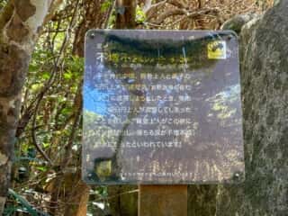 足摺岬