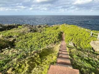 徳之島 犬田布岬