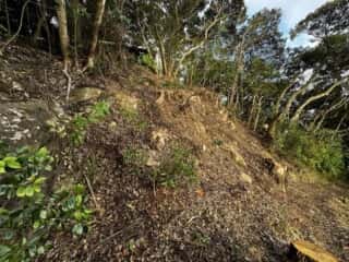 竹ケ島頂上整備工事