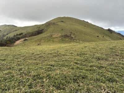 土佐矢筈山・小桧曽山