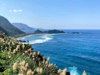 奄美大島 戸円ふれあいパーク