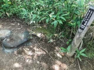羅臼岳登山道