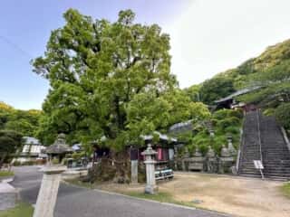 四国八十八ヶ所霊場 第68番札所 神恵院・第69番札所 観音寺