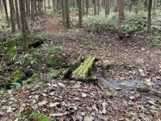 石上登山道