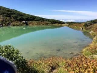 お池めぐり 千蛇ヶ池