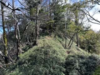 矢筈山・石堂山