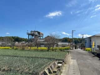 四国八十八ヶ所霊場 第37番札所 岩本寺～第38番札所 金剛福寺