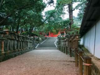 春日大社の参道