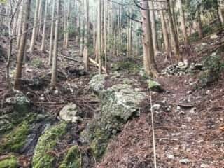 若杉山遺跡の斜面
