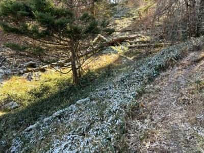 一ノ森・槍戸山