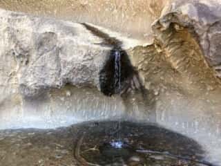 鬼ケ城の湧き水