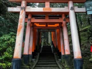 伏見稲荷大社　千本鳥居