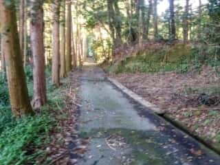神宮新田 (家田田上宮比定地)