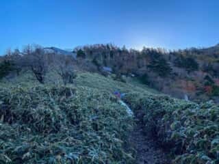 剣山登山道