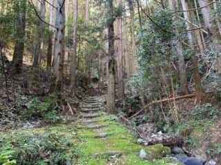 四国八十八ヶ所霊場 第21番札所 太龍寺〜第22番札所 平等寺