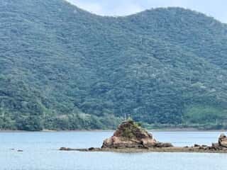 奄美大島 今里立神