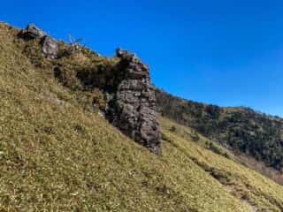 剣山・次郎笈 登山道の景色