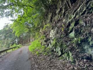 四国八十八ヶ所霊場 第65番札所 三角寺〜第66番札所 雲辺寺