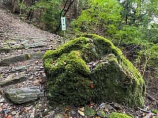 四国八十八ヶ所霊場 第11番札所 藤井寺〜第12番札所 焼山寺