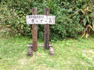 沖縄本島那覇　ガーナー森