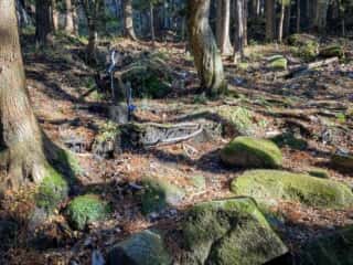 続石への山道途中の巨石群
