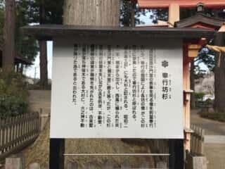 奉行坊杉 由緒