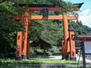 金櫻神社 鳥居