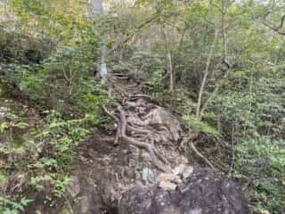 妙義山 登山道