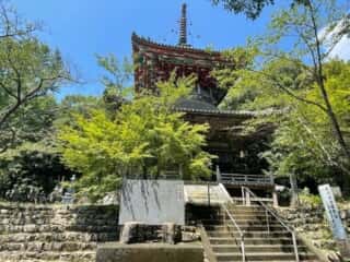 四国八十八ヶ所霊場 第8番札所 熊谷寺