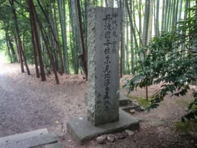 真名井神社