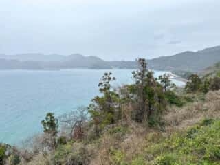 四国八十八ヶ所霊場 第40番札所 観自在寺〜宇和島駅