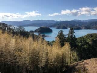 竹ヶ島から海を眺める