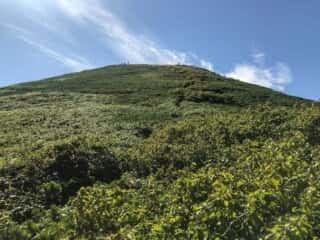 礼文岳登山道