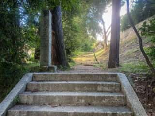 仁和寺　宇多天皇陵参道