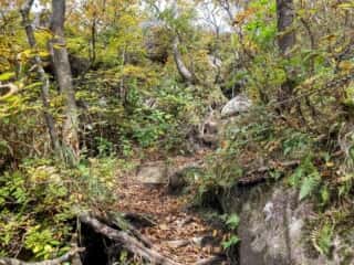 姫神山 登山道巨石群