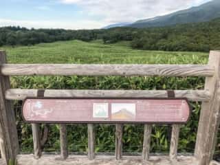 知床五湖 地上遊歩道