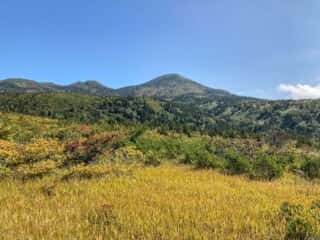八甲田山