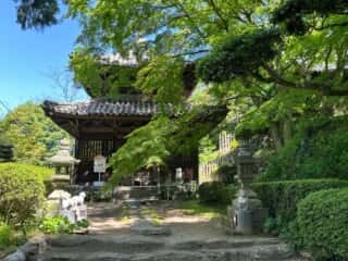 四国八十八ヶ所 81番札所 白峯寺