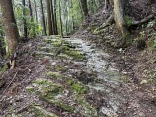四国八十八ヶ所霊場 第11番札所 藤井寺〜第12番札所 焼山寺