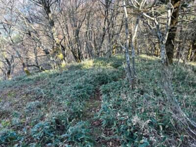 寒峰・烏帽子山