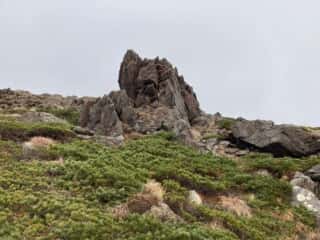 早池峰山 登山道