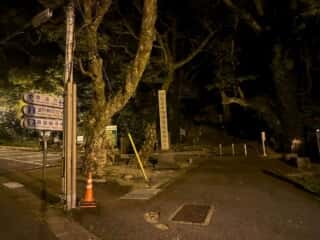 四国八十八ヶ所霊場 第23番札所 薬王寺〜第24番 最御崎寺
