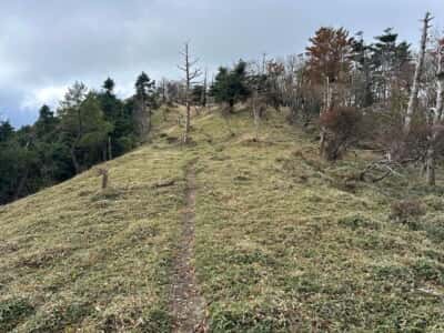土佐矢筈山・小桧曽山