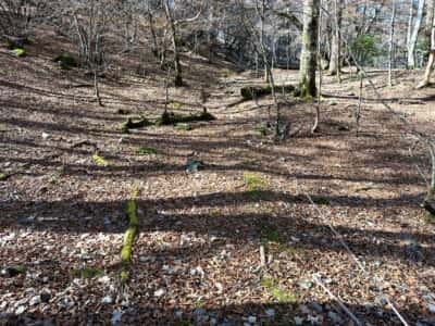 一ノ森・槍戸山