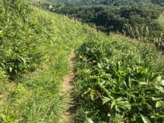 積丹岬自然公園遊歩道