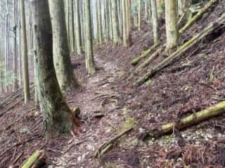 四国八十八ヶ所霊場 第11番札所 藤井寺〜第12番札所 焼山寺